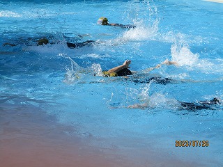 夏季水泳2.