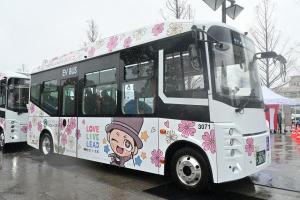 桜草デザインのコミュニティバス