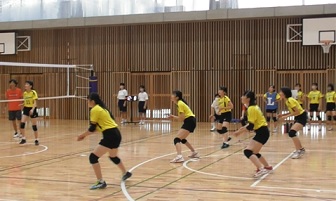 05_volleyball.jpg