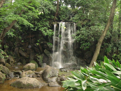 名主の滝(男滝)の写真