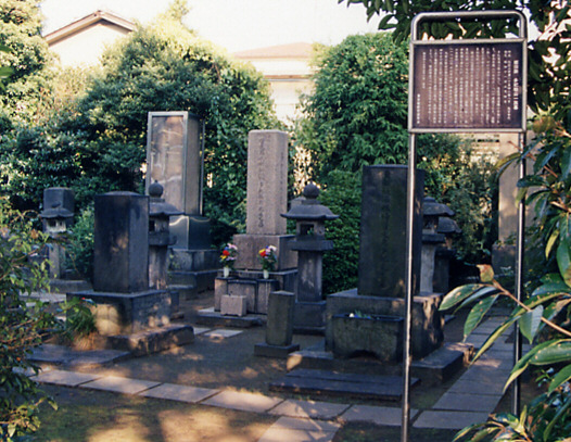 多紀桂山一族墓の写真