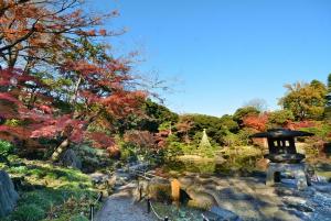 日本庭園の紅葉（昨年の様子）