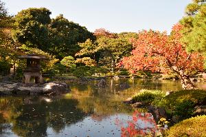 11月13日の日本庭園の様子