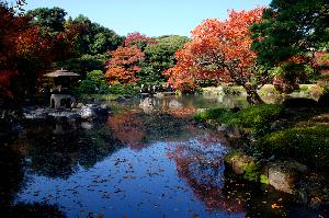 11月18日の日本庭園の様子