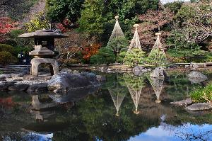 日本庭園の「雪吊り」