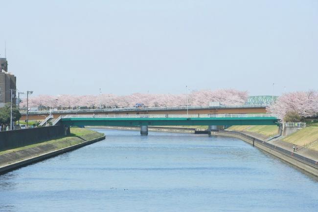 岩淵橋